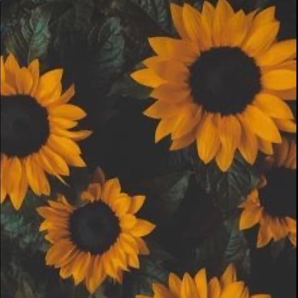 Meet your Posher, Ash - Picture 1 of 1